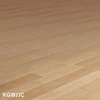 color chip