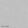 color chip