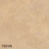 TS5105
