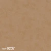 color chip