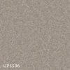 color chip