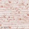 color chip