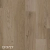 color chip