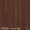 color chip