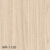 WR-1120