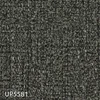 UP5581