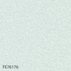 FE76176