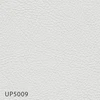 UP5009