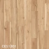 CES1301