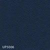 UP5006