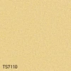 color chip