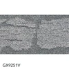 GX9251V