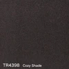 color chip