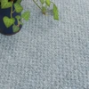 ブルー