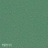 color chip