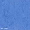 color chip