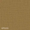 UP5255