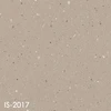 IS-2017
