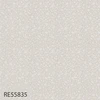 RE55835