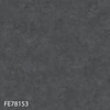 FE78153