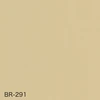BR-291