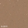 IS-2019