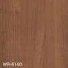WR-6160