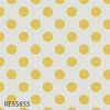 RE55855