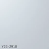 Y23-2918