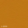 color chip