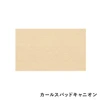 color chip