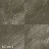 ECT6042