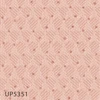 UP5351