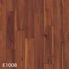 E1008