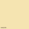 KN037B