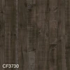 color chip