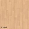 E1041