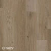 color chip