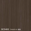 color chip