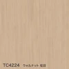 color chip