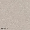 RE55517