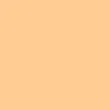 color chip
