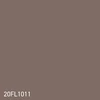20FL1011