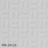 PM-24120