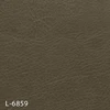L-6859