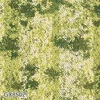 color chip