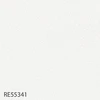 RE55341