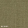 UP5256