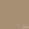 color chip