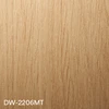 DW-2206MT